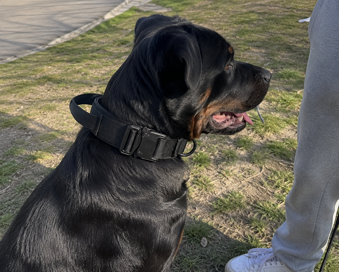 TrailPaws™ Tactical Collar