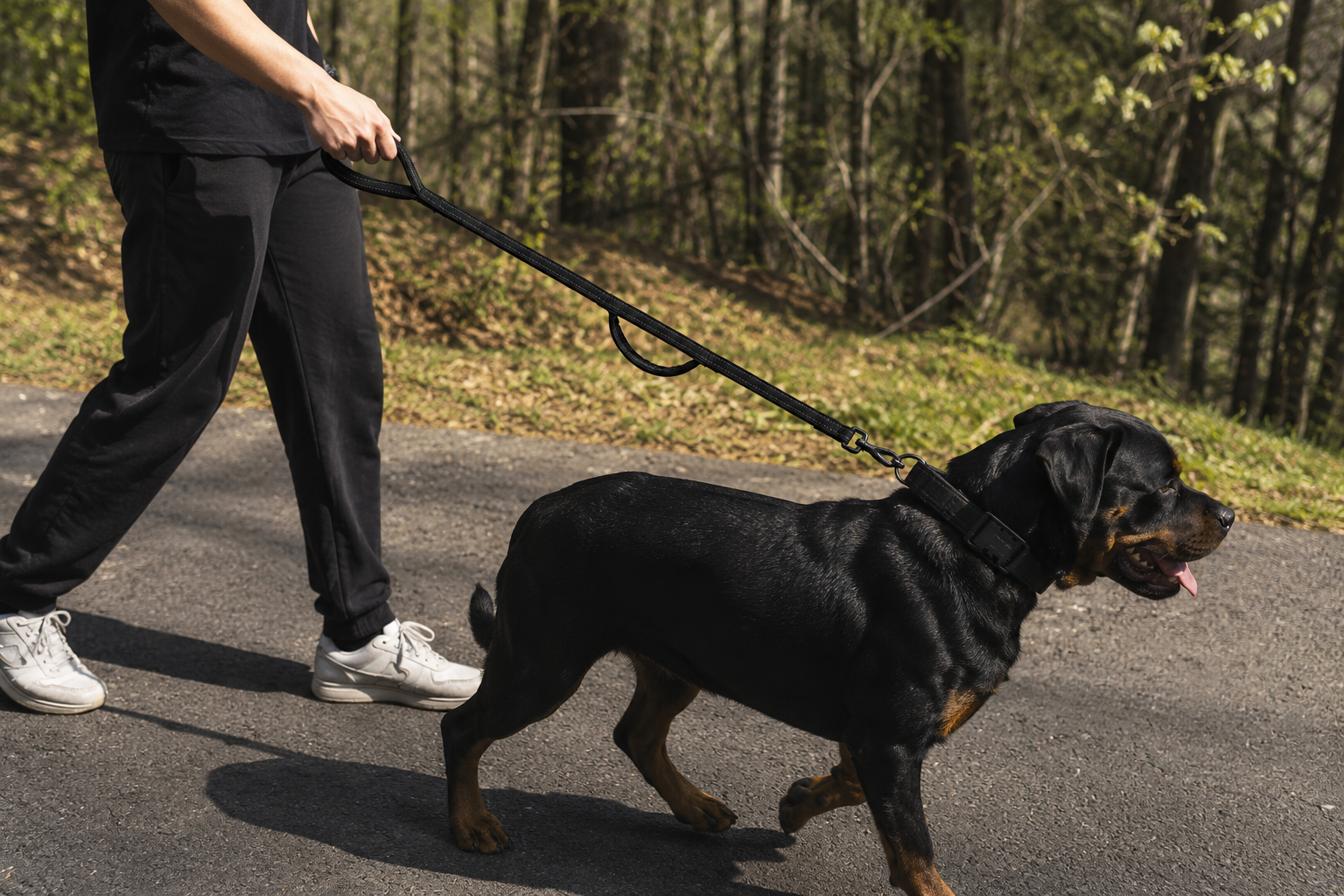 TrailPaws™ Dual Handle Leash