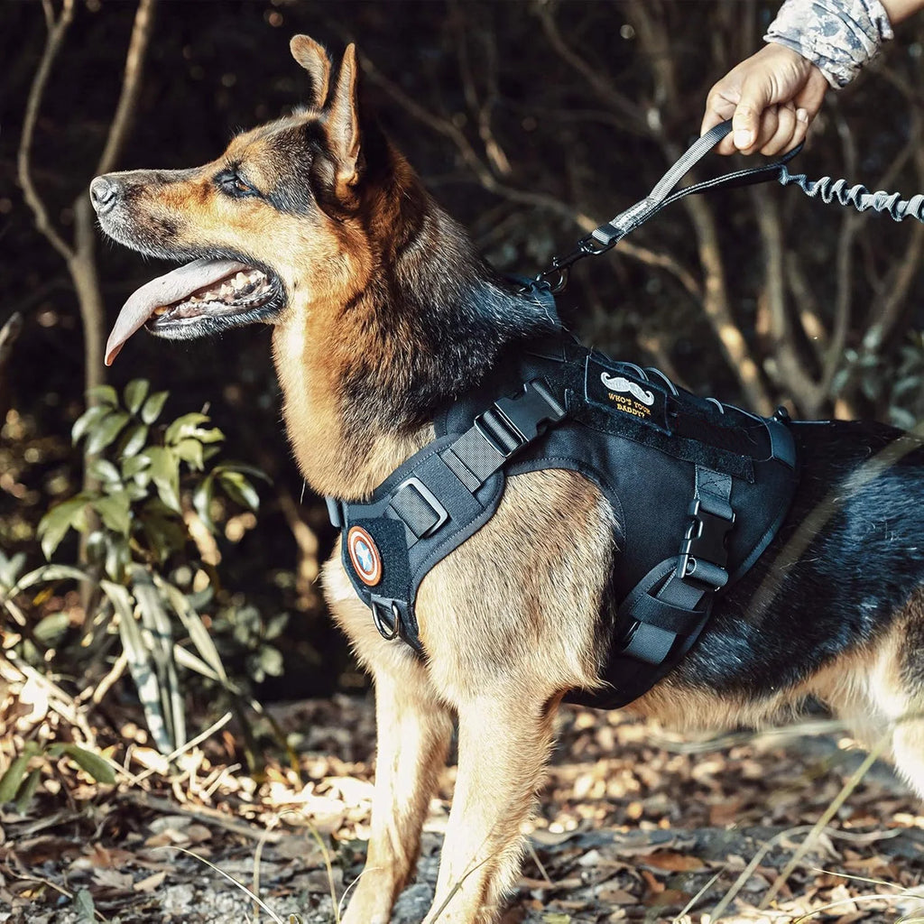 TrailPaws™ Adventure Harness