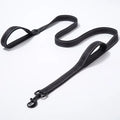 TrailPaws™ Dual Handle Leash