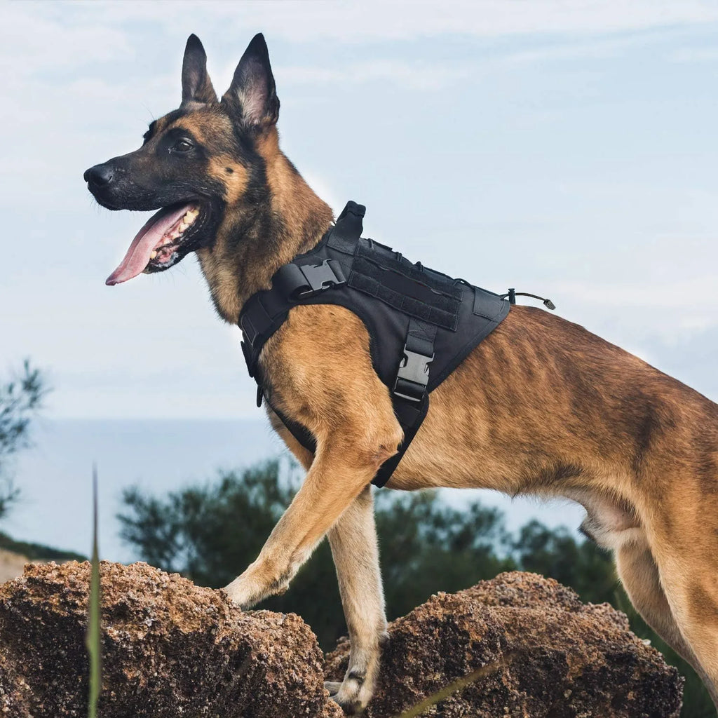 TrailPaws™ Adventure Harness